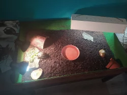 Terárium- želví stůl