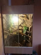 Terárium