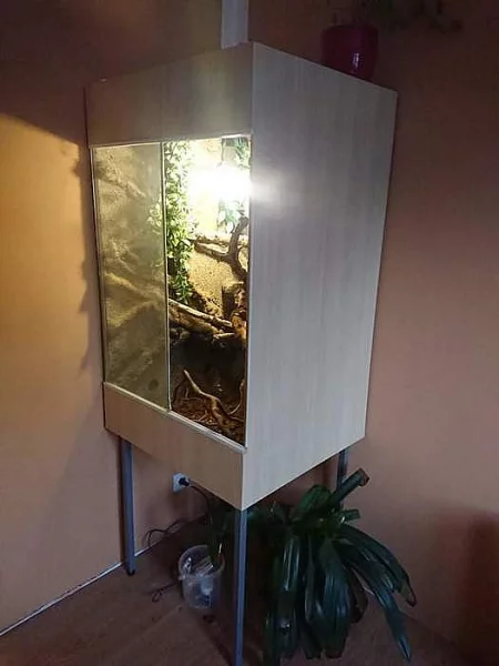 Terárium