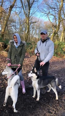 Ohromující štěňata sibiřského huskyho s modrýma očima