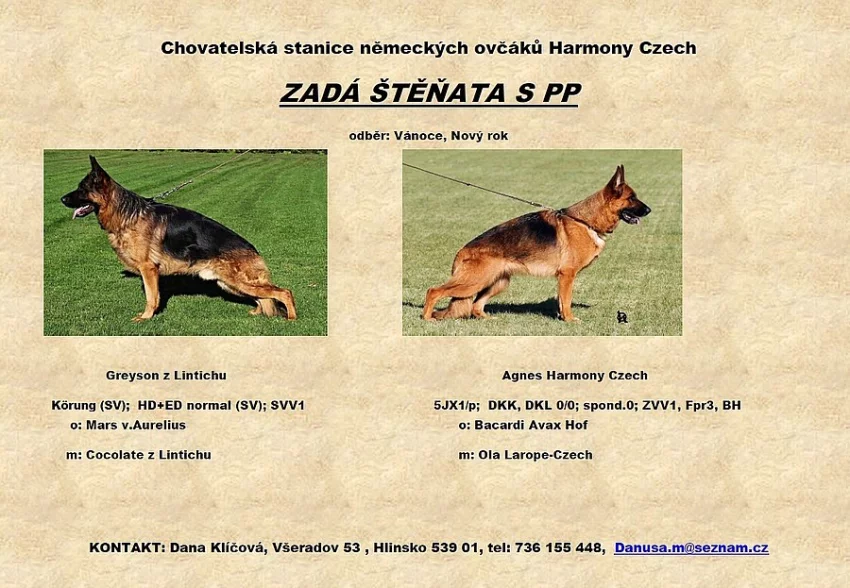 Německý ovčák