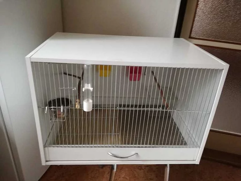 Bednová klec na drobné ptactvo