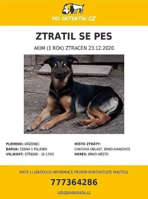Prodám/Daruji..!!!HLEDÁ SE!!!
