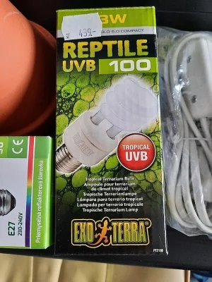 terárium + vybavení