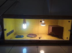 Prodám terrárium 100x40x40