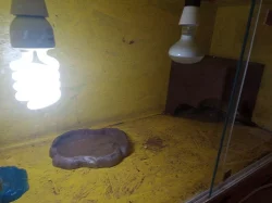 Prodám terrárium 100x40x40