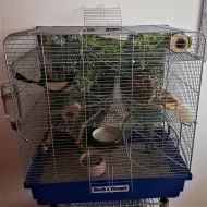 Osmáci degu + kompletní vybavení