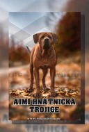 Chovatelská grafika