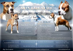 AST s PP