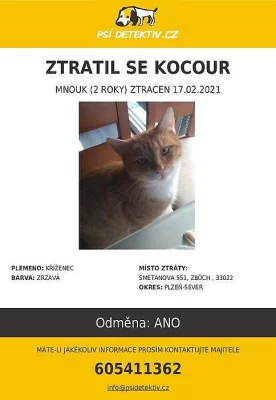 Ztratil se zrzavý mourovany kocourek