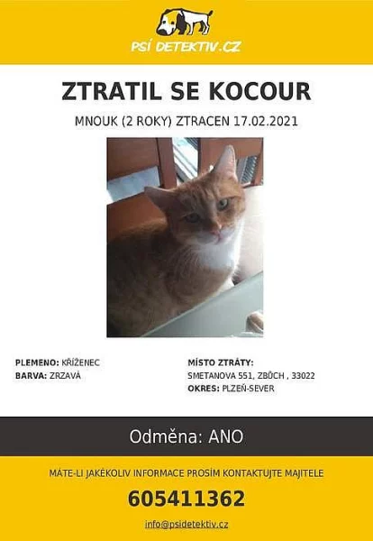 Ztratil se zrzavý mourovany kocourek