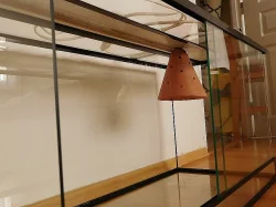 Prodám terárium 80x35x40