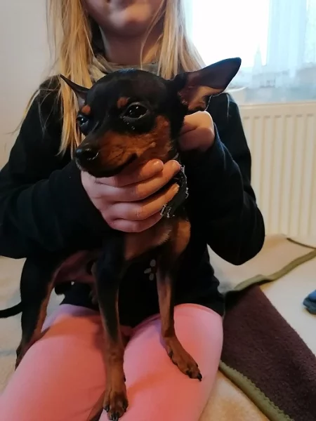 ruský toy
