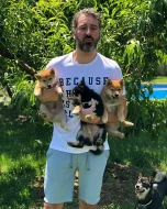 Prodám černá štěňata Shiba-inu
