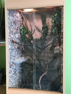 Terárium na chameleona