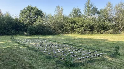 Poplatkový hon na divoké kachny