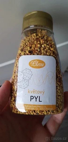 Chameleon jemenský + kompletní výbava a vitaminy
