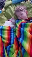 Daruji do dobrých rukou dvě skoro roční kočičí ségry