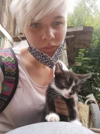 Daruji 3 koťata a jejich maminku