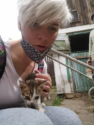 Daruji 3 koťata a jejich maminku
