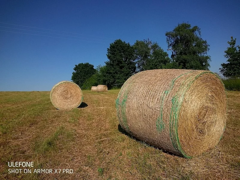Prodej sena 2021