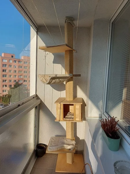 Škrabadlo ke stropu