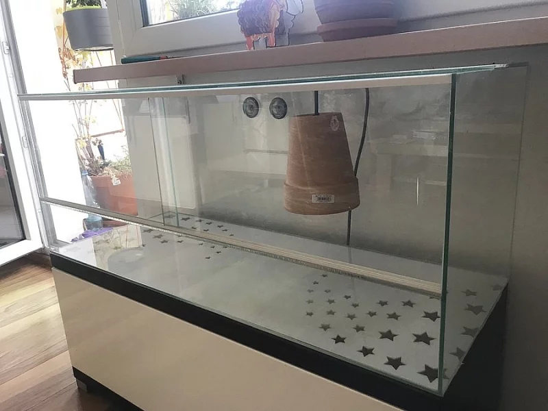 Terarium
