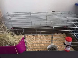 Králík s veškerým vybavením