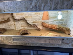 Nádherné terárium do L