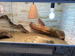 Nádherné terárium do L