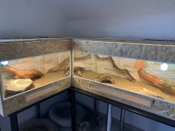 Nádherné terárium do L