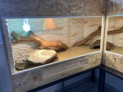 Nádherné terárium do L