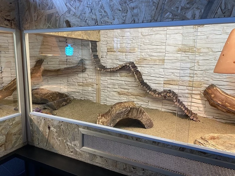 Nádherné terárium do L