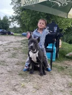 AMSTAFF KE KRYTÍ