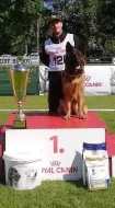Německý ovčák krásná dlouhosrstá fenka s PP