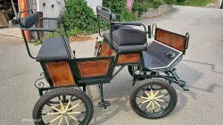 Bryčka, vagoneta, maraton, koňský povoz
