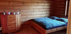 SHÁNÍTE USTÁJENÍ pro SVÉHO KONĚ?