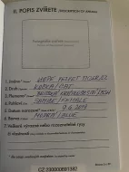Britská krátkosrstá modrá