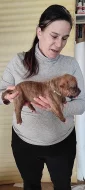 American bulldog s PP narozena 20.1.2022