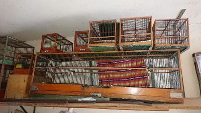 Daruji klece na drobné ptactvo
