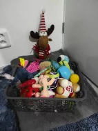 Daruji kocoura s kočkou
