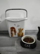 Daruji kocoura s kočkou