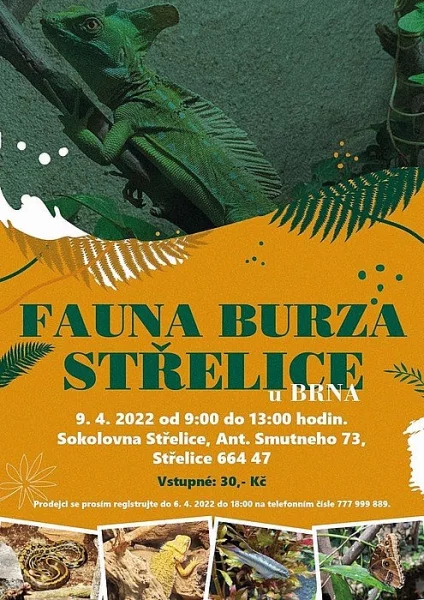 Fauna burza Střelice