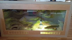 Prodám terárium pro agamu