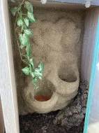 Terárium