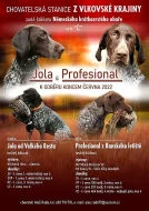 Německý krátkosrstý ohař - štěňata s PP