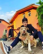 Prodám štěňata American Bully XL