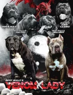 Prodám štěňata American Bully XL