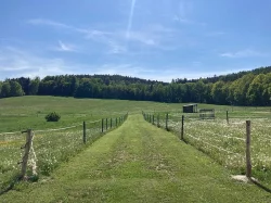 Boxové ustájení v Horních Chrášťanech