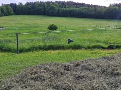 Boxové ustájení v Horních Chrášťanech